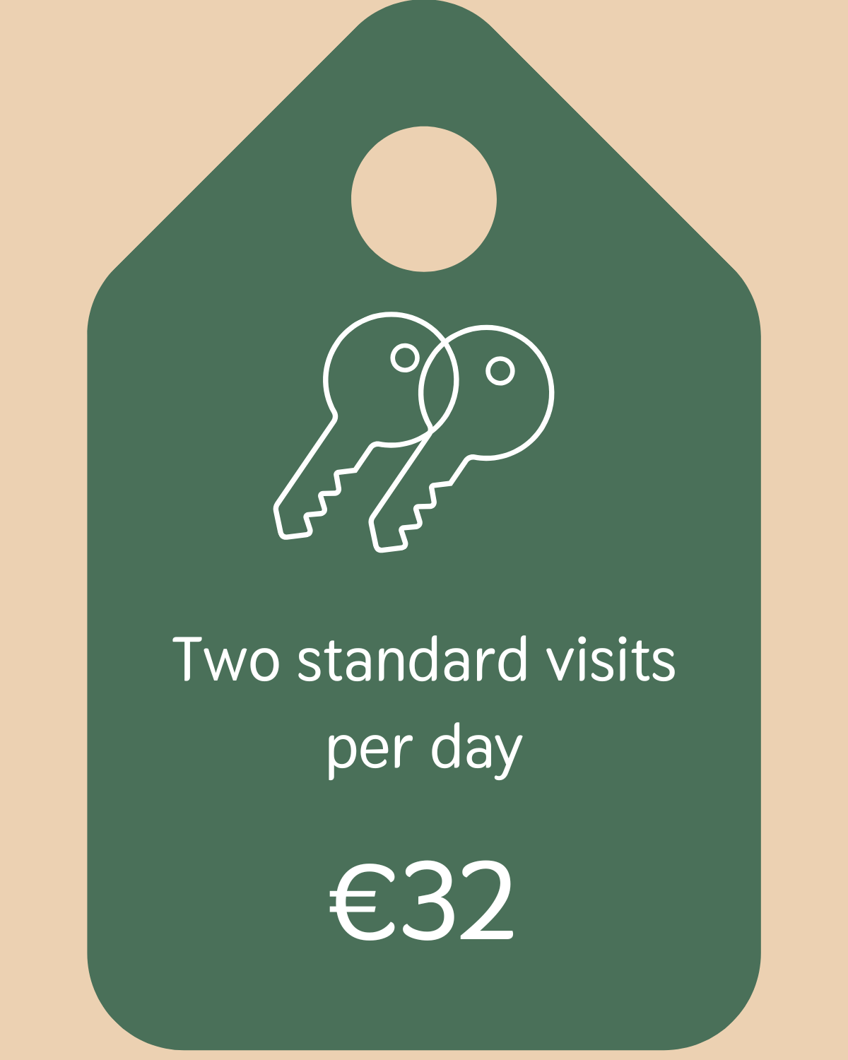 prijs 2 bezoeken per dag_kattenoppas gouda